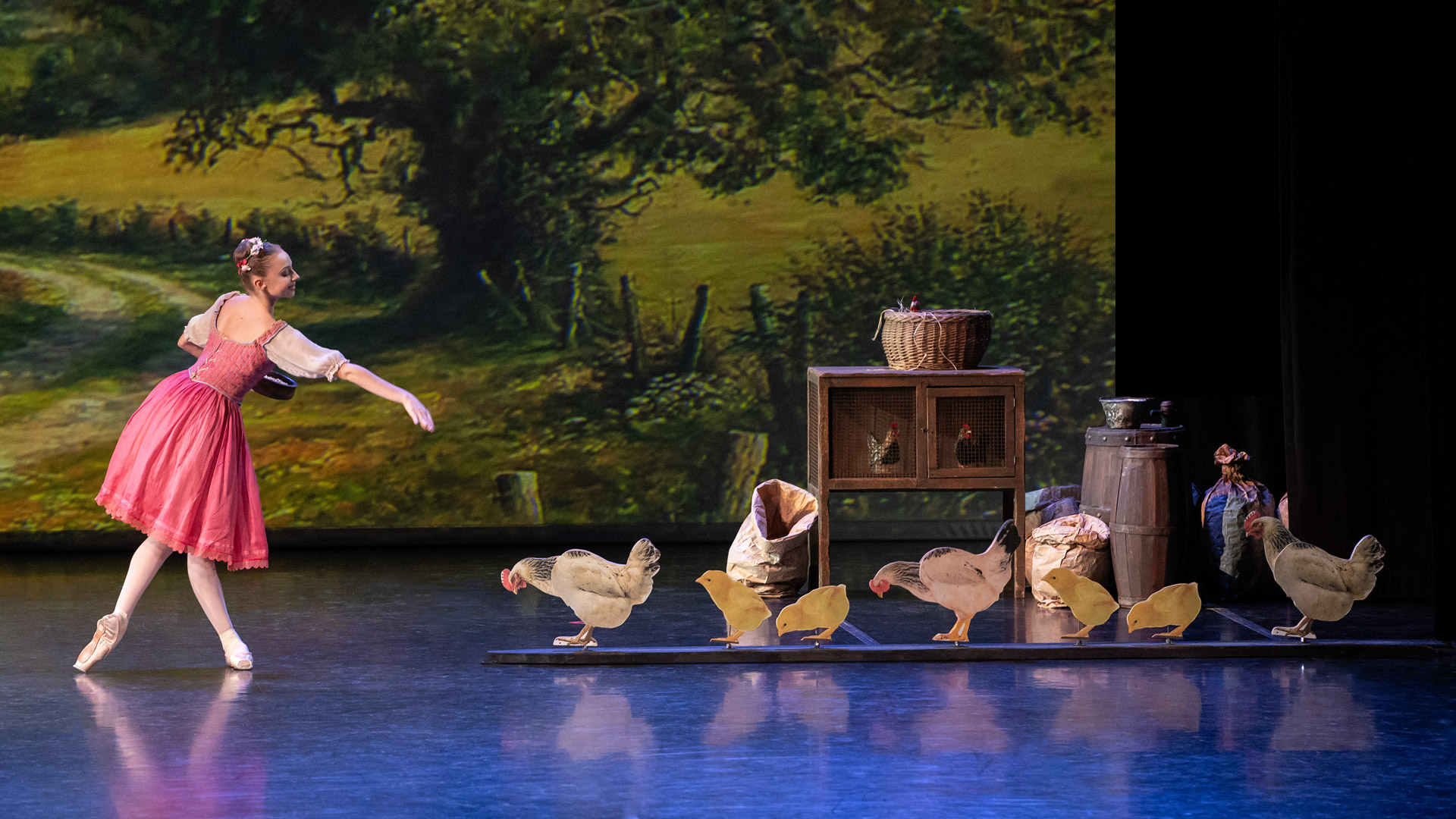 La fille mal gardée Nouveau Dennis Cursio Festival Nervi 25 ab
